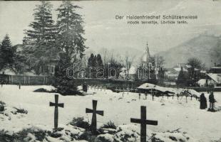 Brassó cemetery (fl)