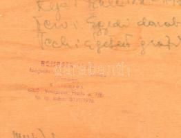 Balaton égetett fa falikép, jelzett (Nemcsik László), 27,5×13 cm