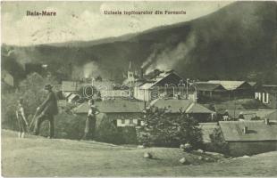 Fernezely, Felsőfernezely, Firiza (Nagybánya, Baia Mare); Uzinele topitoarelor / öntöde, kohók / mine, factory, furnace