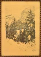 Lénárd Lévi Róbert (1879-1936): Alpesi napsütés, litográfia, papír, jelzett, üvegezett keretben, 34×23 cm