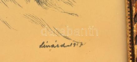 Lénárd Lévi Róbert (1879-1936): Alpesi napsütés, litográfia, papír, jelzett, üvegezett keretben, 34×...