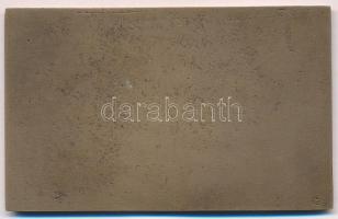 1985. "XXIII. Szabadfogású Birkózó Világbajnokság Budapest" Br plakett (102mmx63mm) T:2