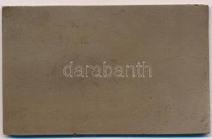 1985. "XXIII. Szabadfogású Birkózó Világbajnokság Budapest" Br plakett (102mmx63mm) T:2