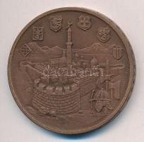 Képíró Zoltán (1944-1981) 1973. "Kaposvár Centenáriuma" Br emlékérem (42,5mm) T:1
Adamo K...