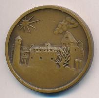 Csúcs Ferenc (1905-1999) 1969. "Budapesti Éremgyűjtők Egyesülete" kétoldalas Br emlékérem ...