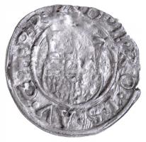 1580K-B Denár Ag "Rudolf" (0,61g) T:2
Hungary 1580K-B Denar Ag "Rudolf" (0,61g)...