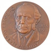 Szlovákia DN "Jozef L'udovít Holuby 1836-1923 / Szlovák Botanikus Társaság" kétoldalas Br érem. Szign.: Bodi-Zobek (80mm)  T:1-,2 Slovakia ND "Jozef L'udovít Holuby 1836-1923 / Slovenská Botanická Spolocnos' (Slovak Botanical Society)" two-sided Br medallion. Sign.: Bodi-Zobek (80mm) C:AU,XF