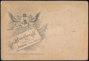 cca 1900 Éder Pál (1849-1916) őrnagy keményhátú portréfotója, fiával, Éder Győző/Viktorral, (1890-19...