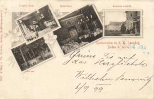 1899 Baden b. Wien Sauerhof