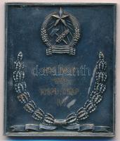 1951. "Honvéd Sportversenyek / Hds. Bajn. 1951. Kispu. Csap. IV." fém plakett, hátlapján g...
