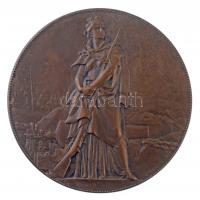 Franciaország 1871. "Párizs ostroma 1870-1871" peremén jelzett Br emlékérem. Szign.: J. C....