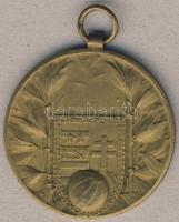 1925. "MLSZ" aranyozott Br díjérem T:2