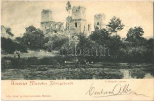 1899 Miskolc, Diósgyőri várrom