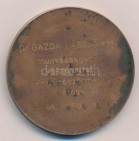 1994. "Hajdúböszörmény" egyoldalas Br plakett, hátoldalon gravírozva, eredeti tokban T:1-,...