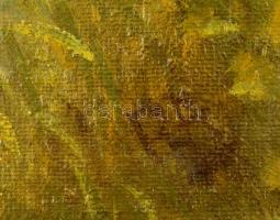 P.Pe jelzéssel: Sárga ház. Olaj, vászon, 40×50 cm