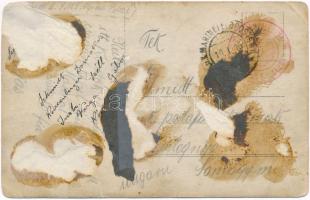 1916 SMS Alpha Osztrák-Magyar Monarchia torpedókiképző hajó matrózai / K.u.K. Kriegsmarine / WWI Aus...