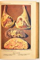 Képes budapesti szakácskönyv. Sz. Hilaire Josefa, Kovács Irma, Dorn Anna, Gombos Erzsi, Moesz Gézáné...