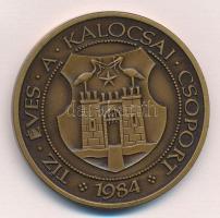 Fritz Mihály (1947-) 1984. "MÉE / Tíz éves a Kalocsai Csoport" Br emlékérem (42,5mm) T:1-
...