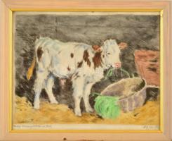 Edvi Illés Aladár (1858-1927): Boci. Színezett rézkarc, papír, jelzett, körbevágva, üvegezett fa keretben, 21×28 cm