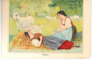 1905 A magyar nép naptára az 1905-ik évre. Képes kalendárium sokféle hasznos és mulattató olvasmánny...