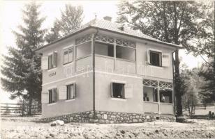 1941 Marosfő, Izvoru Muresului; üdülőtelep, Villa Anonim / holiday resort, villa. photo