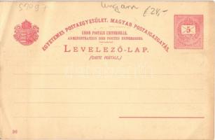 Budapest, Ezredéves Országos Kiállítás, Jobb part, Királyi vár, Lánchíd, gőzhajók. 5 Kr piros Ga. s:...