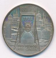 Csúcs Viktória (1934-) 1973. "Pest-Buda-Óbuda egyesítésének centenáriuma / Pro memor urbe cente...