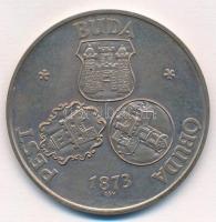 Csúcs Viktória (1934-) 1973. Pest-Buda-Óbuda egyesítésének centenáriuma / Pro memor urbe centen ezüstözött fém emlékérem (42,5mm) T:1