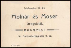 cca 1910 Bp., Molnár és Moser Droguisták kártyája, a hátoldalán megcímzett, 8x13 cm