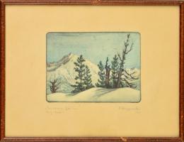 Olvashatatlan jelzéssel: Einsame Bäume. Színezett rézkarc, papír, üvegezett keretben, 13×17 cm