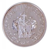 Lugossy László (1944-) DN "Veszprém a királynék városa / Sigillum Civitatis Vesprimensis" ...