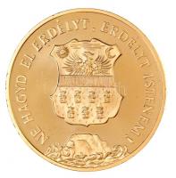 1989. "Temesvár 1514,1989 / Ne hagyd el Erdélyt, Erdélyt Istenem" aranyozott fém emlékérem...