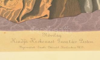 1859 Nővilág, kiadja: Heckenast Gusztáv, illusztráció, üvegezett keretben, 24×17 cm