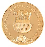 1989. "Temesvár 1514,1989 / Ne hagyd el Erdélyt, Erdélyt Istenem" aranyozott fém emlékérem...