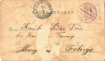 1899 Sopron, Városház, Várkerület, Városház tér, Színház, Liszt szobor. Art Nouveau, floral, litho (...