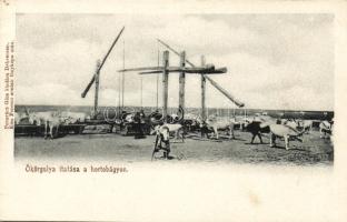 Hortobágy Nyáj Gémeskút