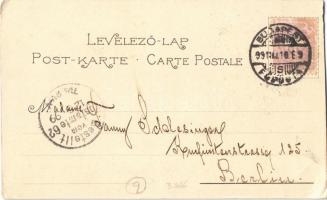 1899 (Vorläufer!) Budapest, Grand Hotel Hungária, Corso. Art Nouveau, floral (vágott / cut)