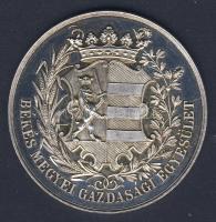 1884. "Békés megyei Gazdasági Egyesület" Ag ajándékozó emlékérem 26g T:P