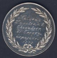 1884. "Békés megyei Gazdasági Egyesület" Ag ajándékozó emlékérem 26g T:P