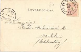 1900 Sajószentpéter, Üveggyár + "FÜLEK - MISKOLCZ 42. SZ." vasúti mozgóposta bélyegző