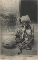 Puducherry, Pondichéry; Un charmeur de Serpents / snake charmer, Indian folklore