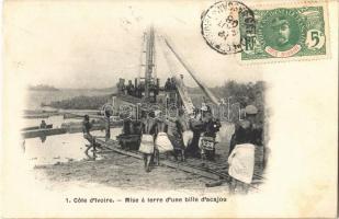 Cote dIvoire, Ivory Coast; Mise á terre dune bille dacajou / construction laborer