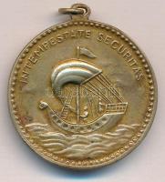 DN "Szent György" aranyozott Br medál füllel (31mm) T:2