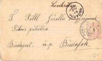 1898 Borosznó-gyógyfürdő, Brusno-kúpele (Borosznó, Brusznó, Brusno); Lajos lak / villa (EK)