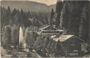 1908 Koritnyica, Korytnica; Szökőkút, Schweiz nyaraló. Gutkaiss kiadása / fountain, villa (EK)
