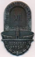 1954. XII. Nyári Főiskolai Világbajnokság Budapest bronzozott fém plakett (65x40mm) T:2