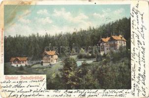 1901 Stószfürdő, Stoósz-fürdő, Kúpele Stós; nyaralók. Wlaszlovits G. No. 1300. / villas (EB)