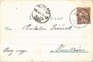 1901 Stószfürdő, Stoósz-fürdő, Kúpele Stós; nyaralók. Wlaszlovits G. No. 1300. / villas (EB)