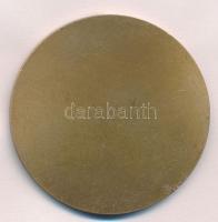 DN "30 Rokov cs kis v Budapesti" Br plakett. Szign.:Kulich (60mm) T:1-