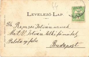 Algyógy, Geoagiu; kúria, kastély. Adler fényirda / villa, castle (EK)